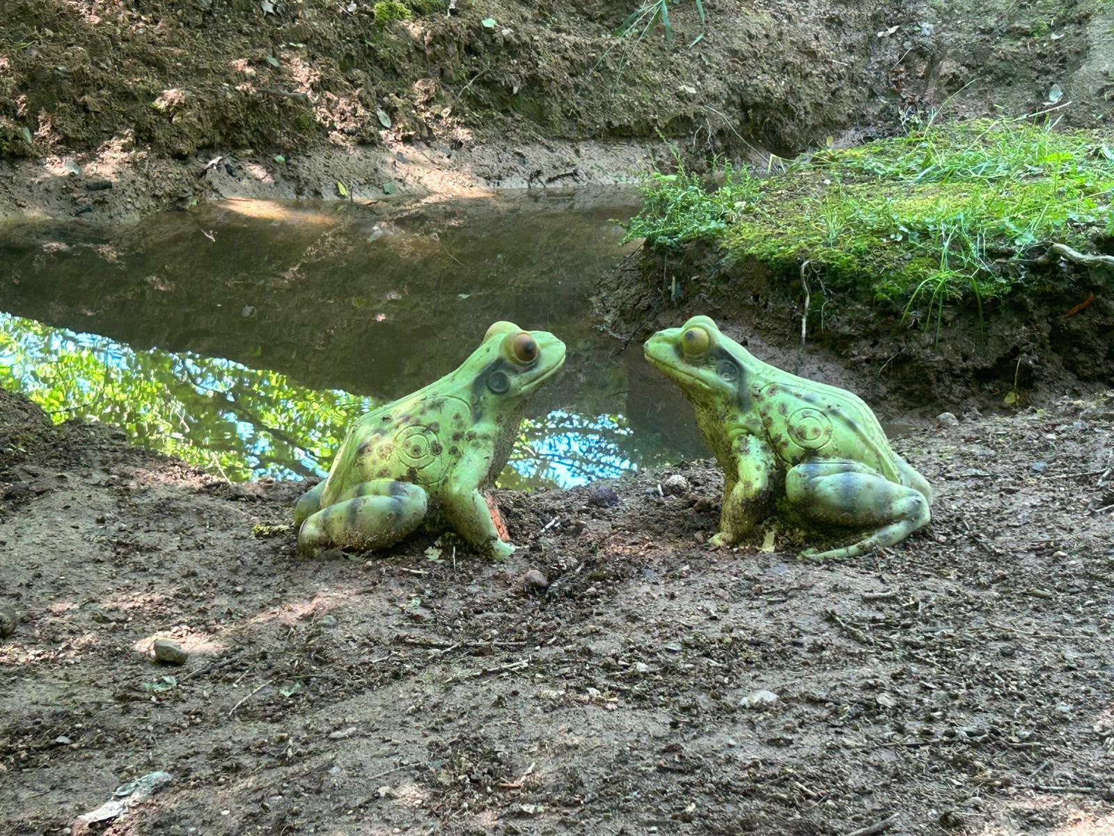 Une parenthèse hors du temps au cœur de la forêt d’Offlanges