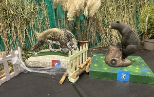 Le Tir 3D Indoor : une aventure immersive à découvrir absolument, allons en forêt… sans quitter la salle !