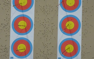 10-02-2019