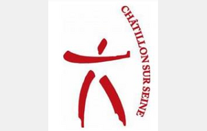 18 M - CHATILLON SUR SEINE (21)