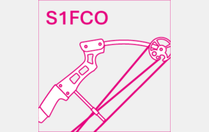 S1 Femme Arc à Poulies (Compound)